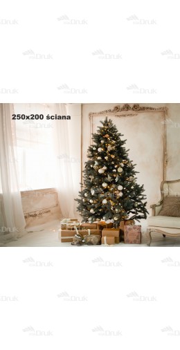 Tło fotograficzne Ch25